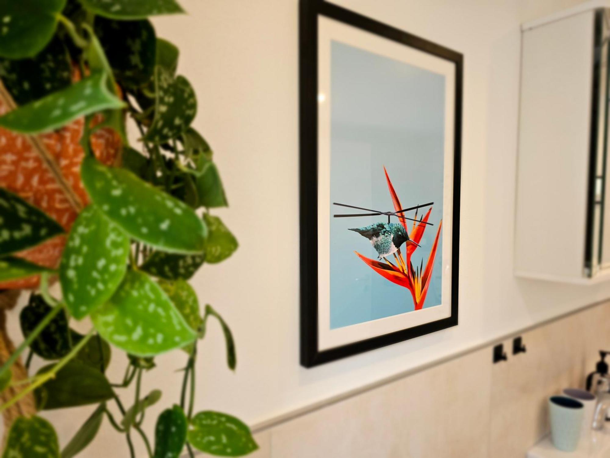 Kolibri - Design Maisonette - Nintendo Switch, Streaming, Bikestore, E-Wallbox Marburg Экстерьер фото